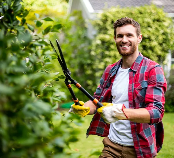 travaux de jardinage