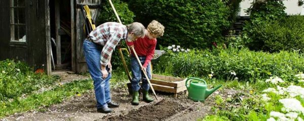 cultiver un potager