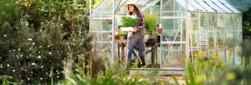 serre de jardin