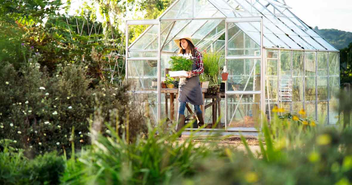 serre de jardin